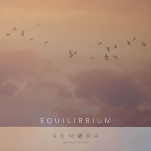 Equilibrium artwork